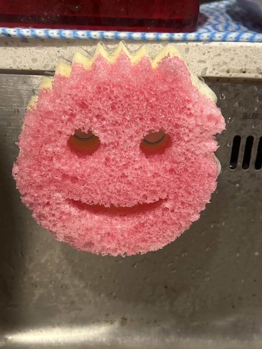 Customer photo review of Scrub Mommy