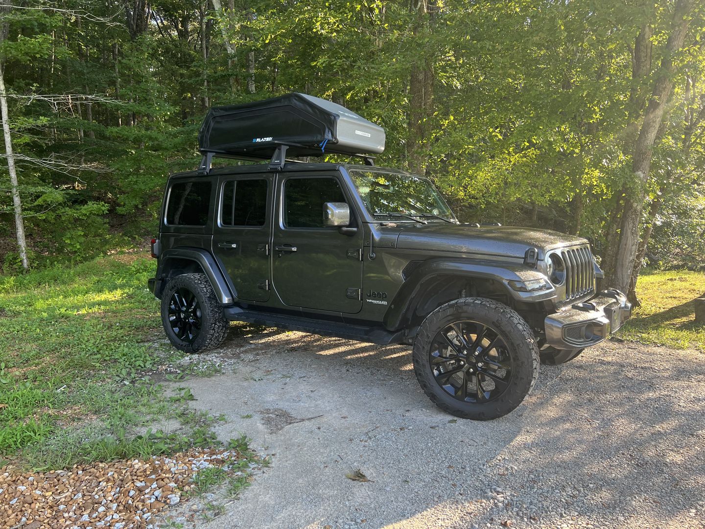 Customer photo review of LARGE CARRIER23