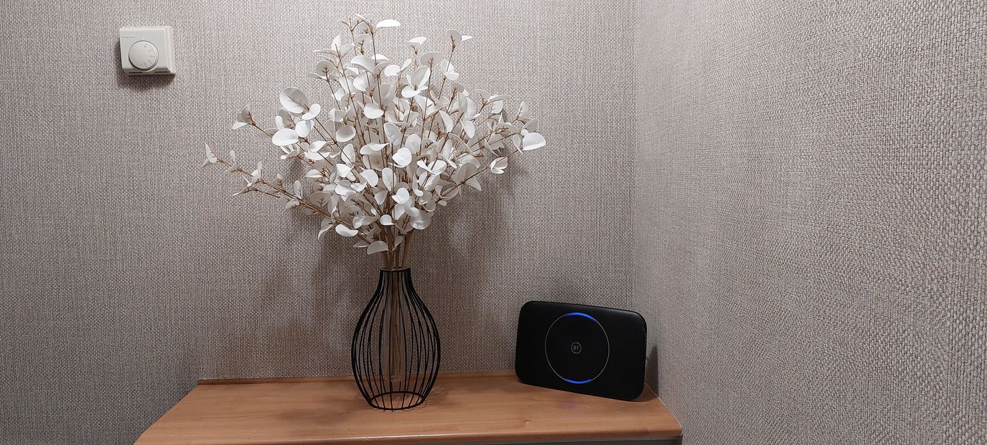 Customer photo review of Faux Eucalyptus - White (5 Stems)