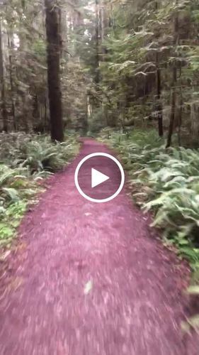 Customer photo review of Backfire Ranger X3 All Terrain Electric Skateboard with 1500W X2 Ultra High Power Ultra High Torque Motors and 12S High Voltage High Efficiency Electronic System