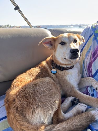 Customer photo review of Beach Silicone