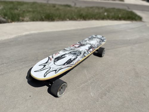 Customer photo review of Backfire ESC