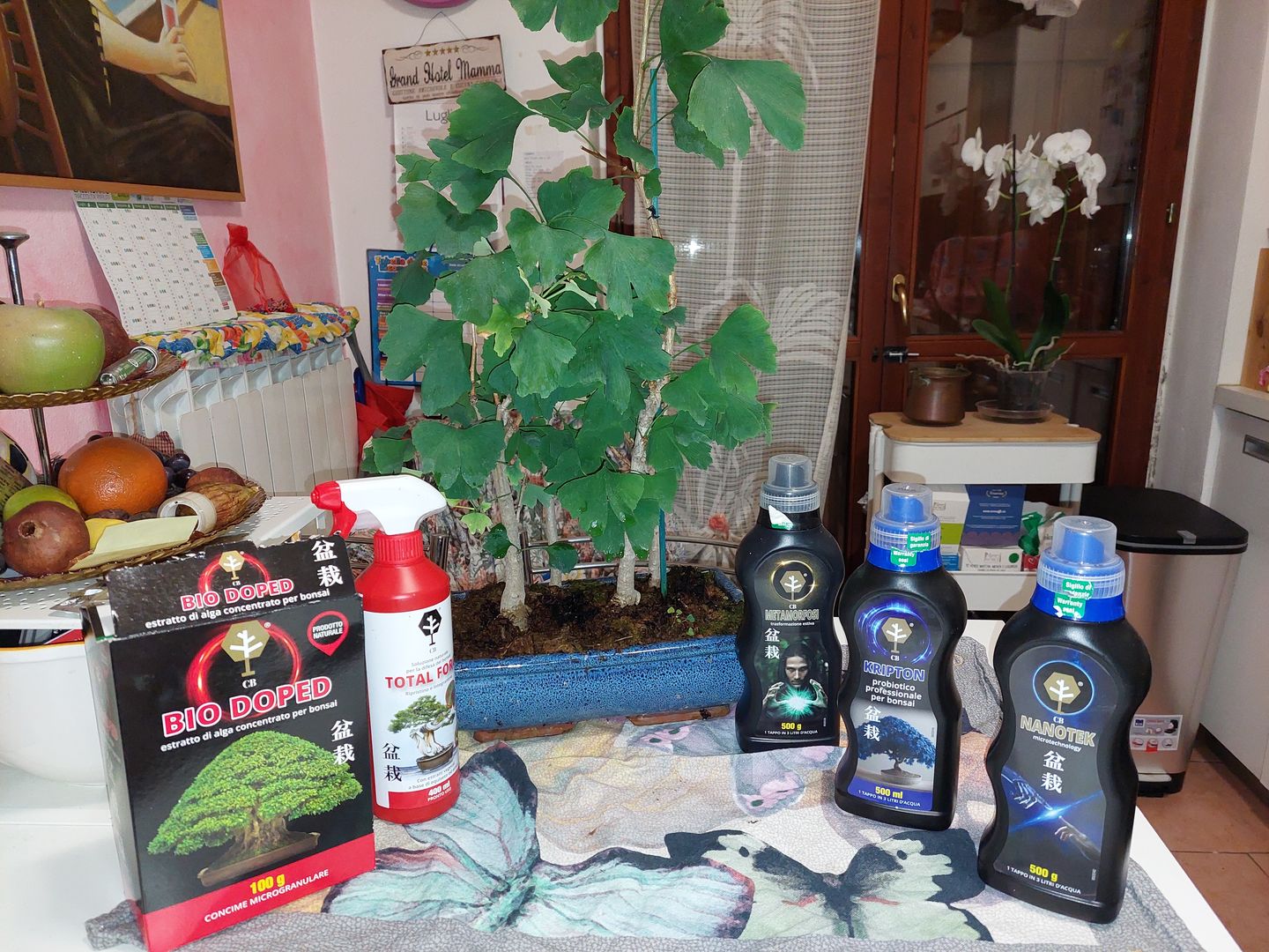 Customer photo review of ESTATE BOMBA PACK