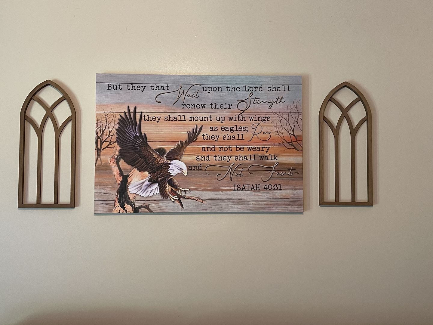 Customer photo review of Eagle Wingspan, They that wait upon the Lord Isaiah 40:31 Christian wall art canvas print