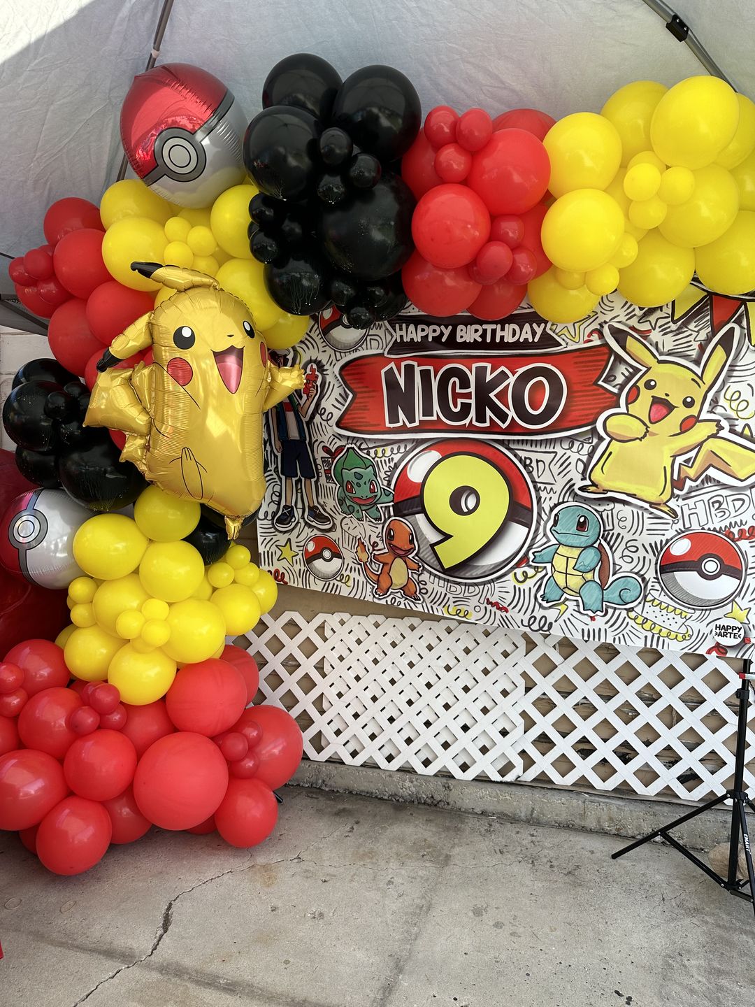Customer photo review of Pokemon 4