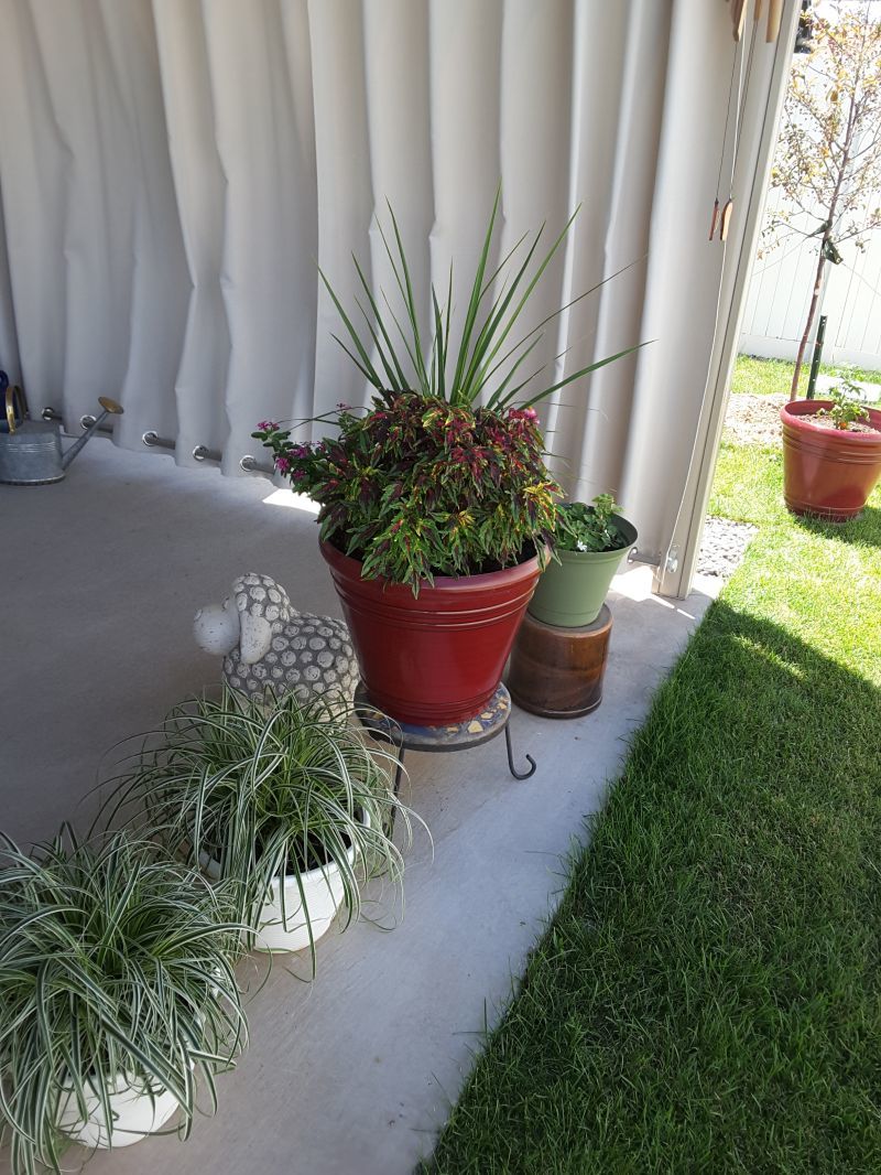 Customer photo review of Top & Bottom Grommet Windproof Outdoor Curtains for Patio 1 Panel