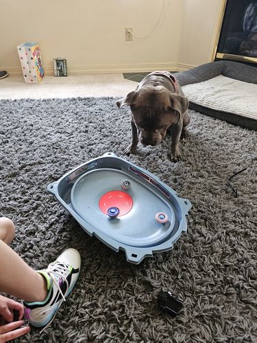 Customer photo review of Takara Tomy Basalt Horogium Beyblade BB-104 (Twisted Tempo 145WD) Metal Masters - With Launcher
