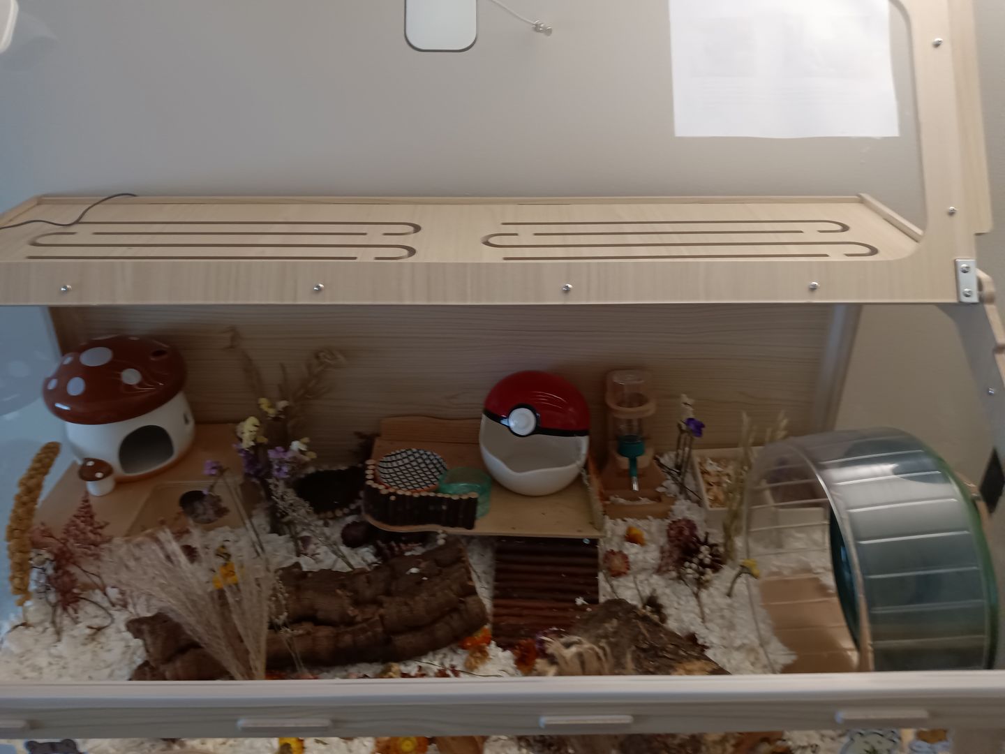 Customer photo review of Niteangel Bigger World MDF Terrarium Aspen Poplar Wooden Enclosure for Syrian and Dwarf Hamsters
