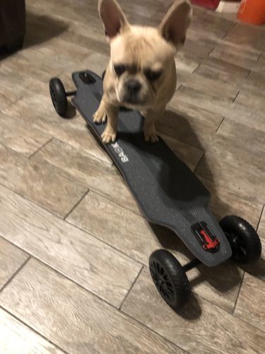 Customer photo review of Backfire Ranger X3 All Terrain Electric Skateboard with 1500W X2 Ultra High Power Ultra High Torque Motors and 12S High Voltage High Efficiency Electronic System