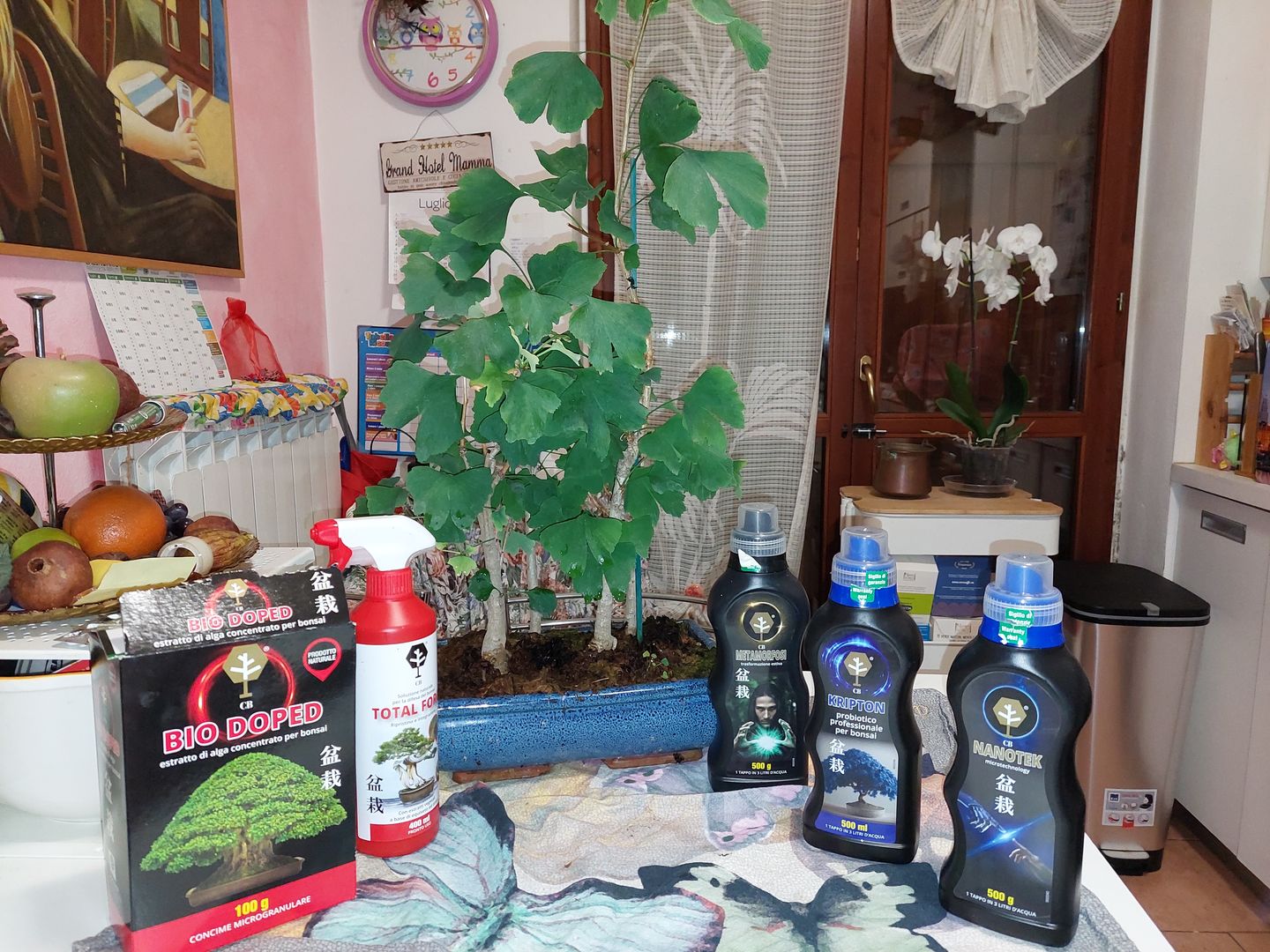Customer photo review of TOTAL FORCE CB® (AFIDI, COCCINIGLIA, RAGNETTO ROSSO, MAL BIANCO)