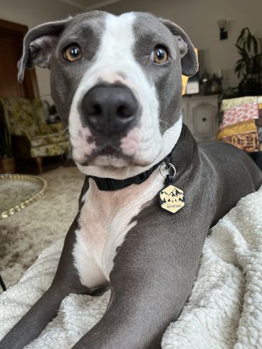 Customer photo review of Mountain Silicone