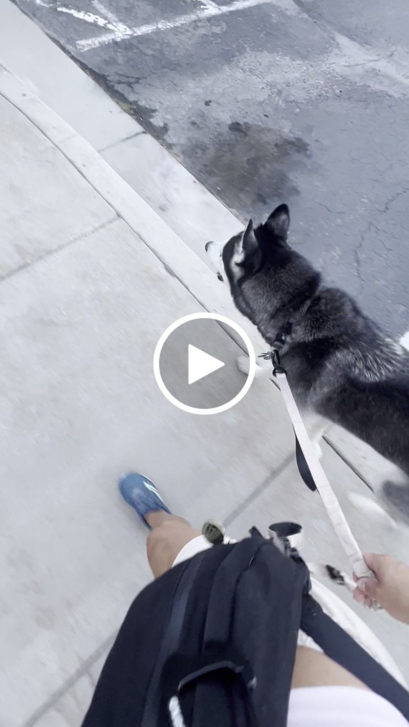Customer video review of Utility Fanny Pack