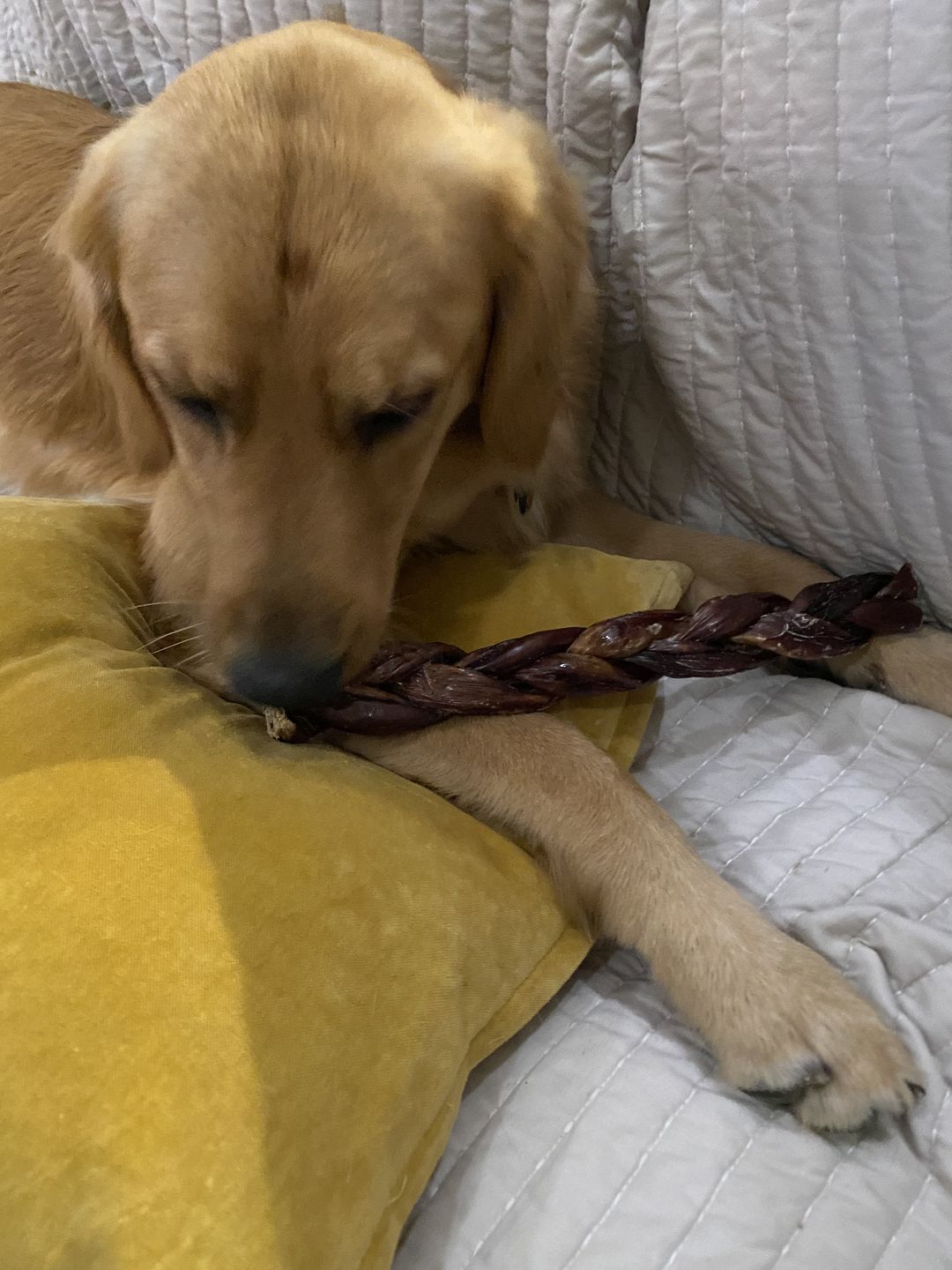 Customer photo review of 12 Inch Braided Jerky Stick