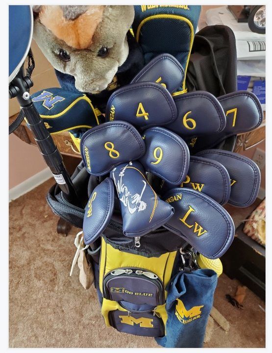 Customer photo review of Custom Individual Leather Iron Headcover