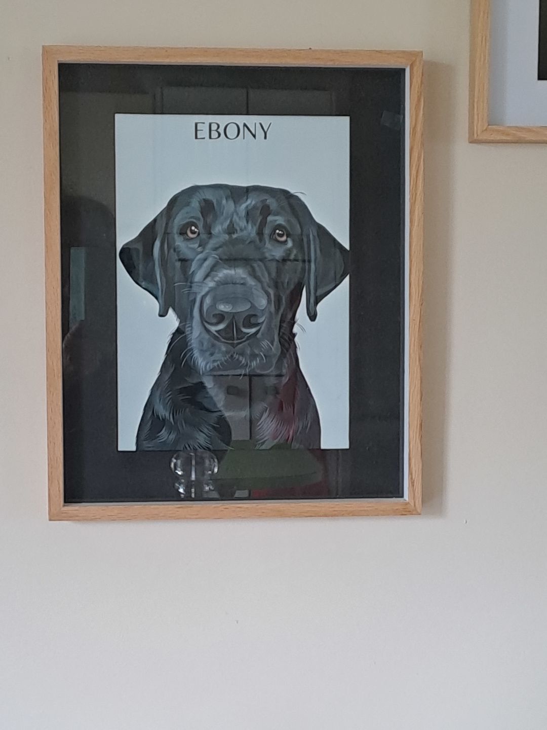 Customer photo review of One-Pet Portrait