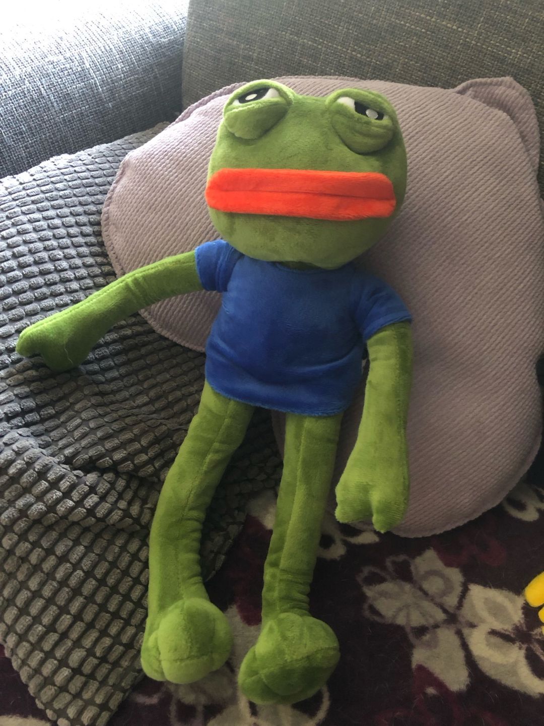 Customer photo review of Pepe The Frog Poseable Plushie 18" Sad Frog Meme Soft Stuffed Plush Toy: Hilarious Cuddle Buddy Meme Doll The Perfect Gift