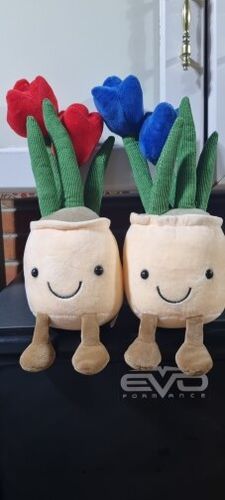 Customer photo review of Bubbly Tulip Flower Pot Plush