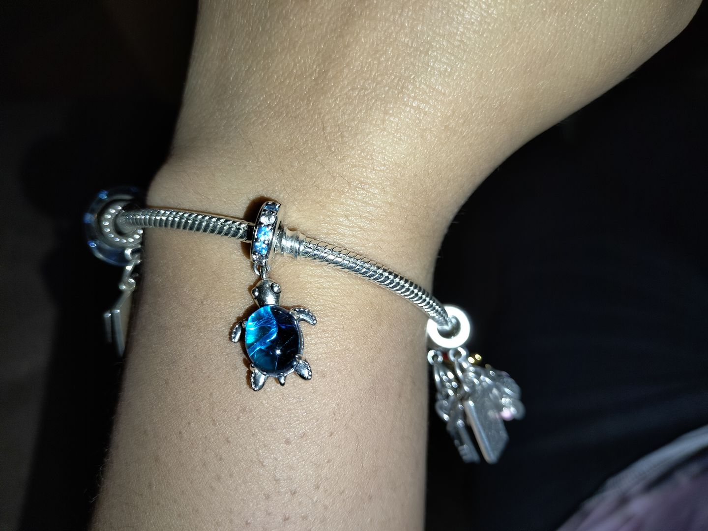Customer photo review of Charm Tortuga