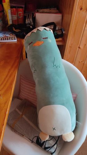 Customer photo review of Kawaii Animal Body Pillow Collection