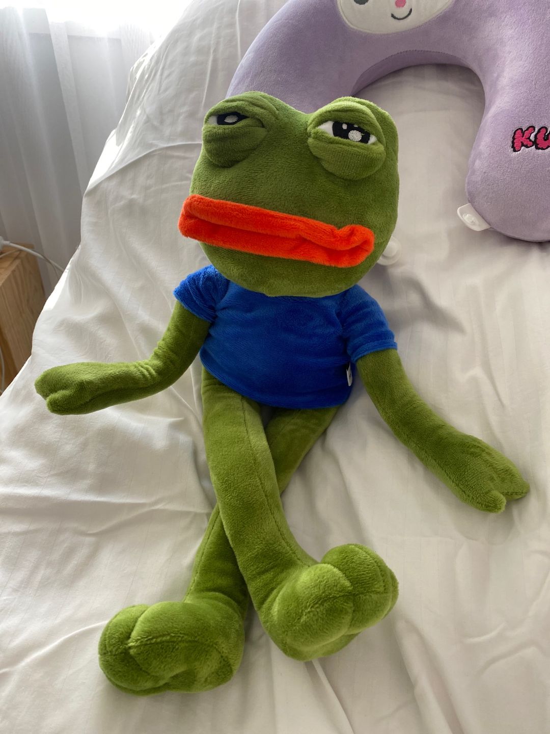 Customer photo review of Pepe The Frog Plushie 18" Sad Frog Meme Soft Stuffed Poseable Plush Toy: Hilarious Cuddle Buddy Meme Doll The Perfect Gift