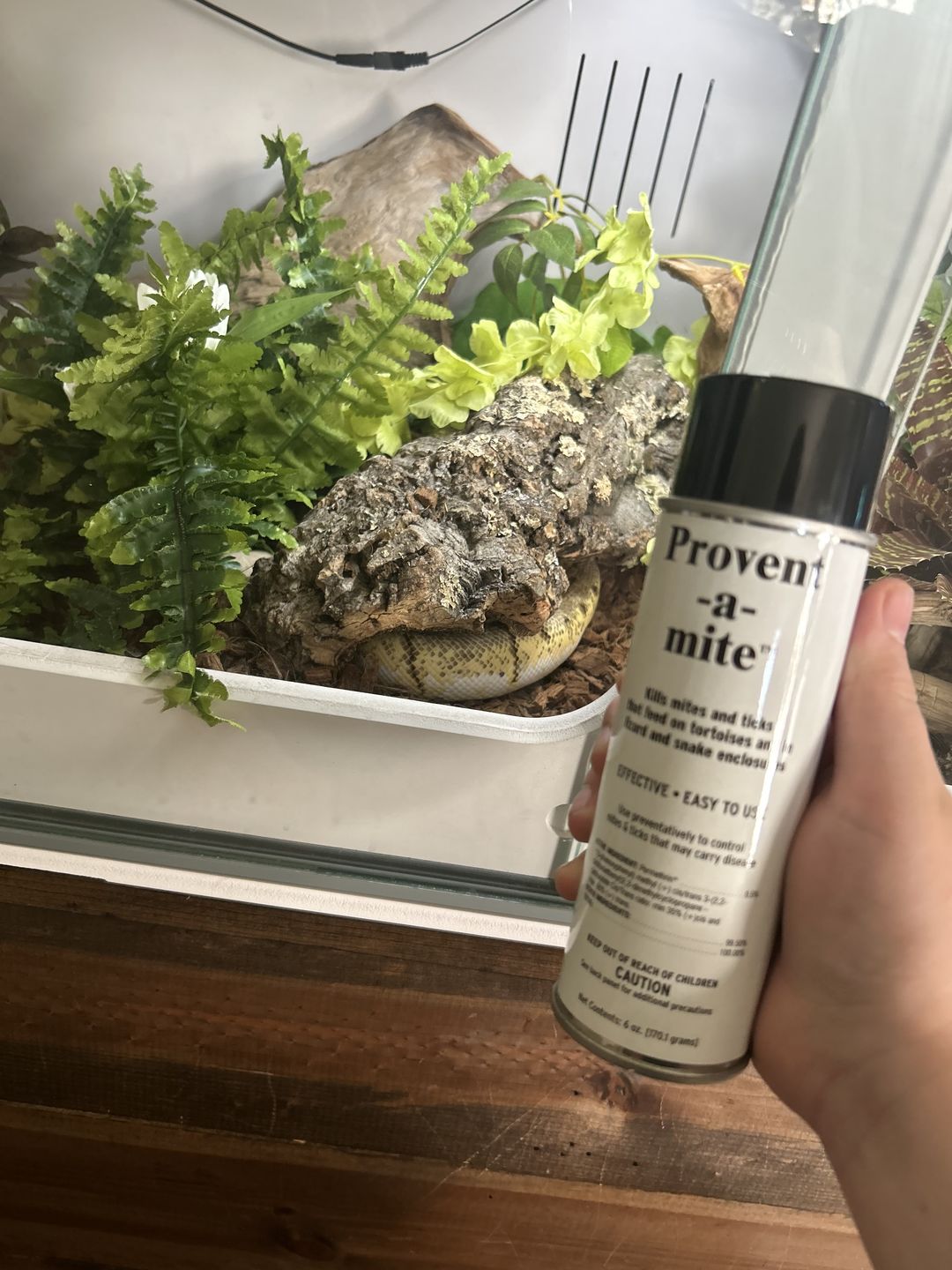 Customer photo review of Provent-a-Mite for Tortoise, Snake, and Lizard Cage (6 oz)