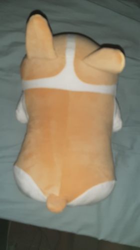 Customer photo review of Corgi Cuddle Buddies