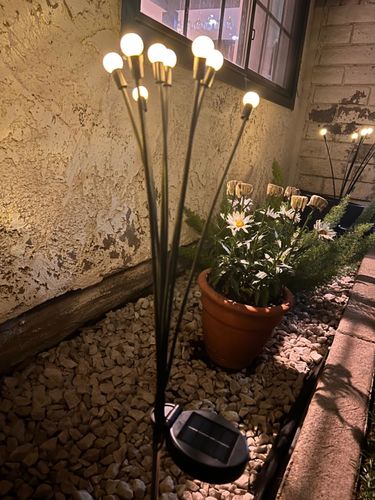 Customer photo review of Solar Firefly Sparkle Garden Lights