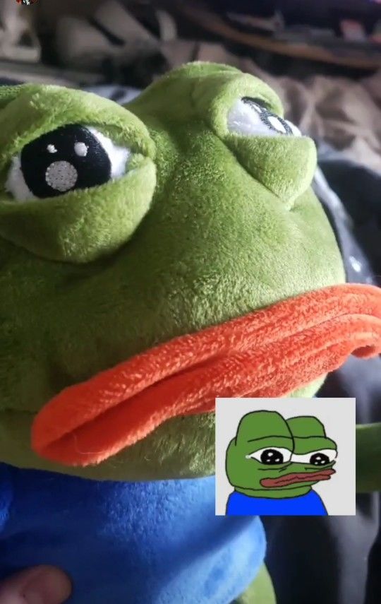 Customer photo review of Pepe The Frog Plushie 18" Sad Frog Meme Soft Stuffed Poseable Plush Toy: Hilarious Cuddle Buddy Meme Doll The Perfect Gift