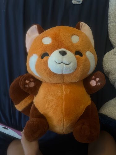 Customer photo review of Chai the Kawaii Red Panda Plushie