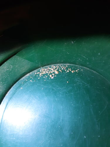 Customer photo review of Flawless 'PREMIUM NUGGET' - Gold Panning Paydirt