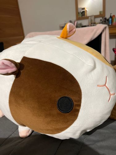 Customer photo review of Adorable Lying Guinea Pigs Squad