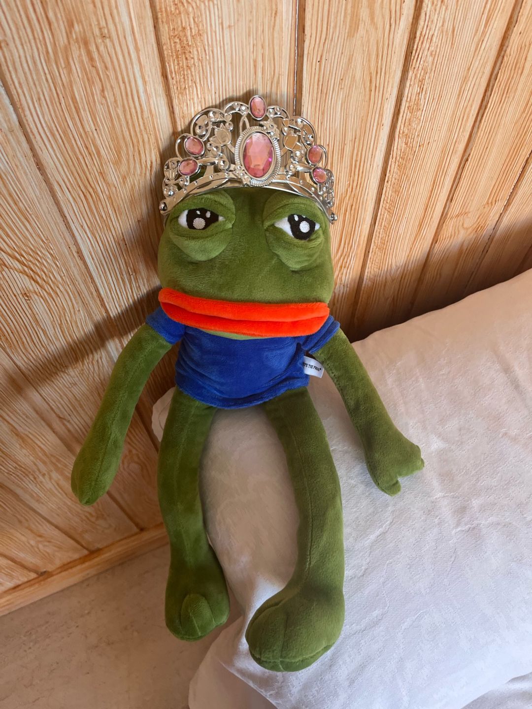 Customer photo review of Pepe The Frog Plushie 18" Sad Frog Meme Soft Stuffed Poseable Plush Toy: Hilarious Cuddle Buddy Meme Doll The Perfect Gift