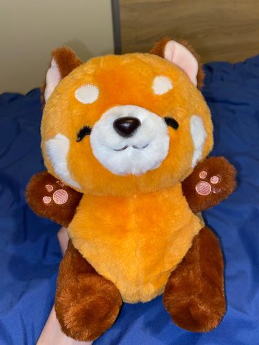Customer photo review of Chai the Kawaii Red Panda Plushie