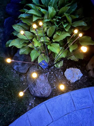 Customer photo review of Solar Firefly Sparkle Garden Lights