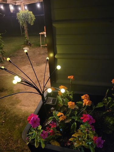 Customer photo review of Solar Firefly Sparkle Garden Lights