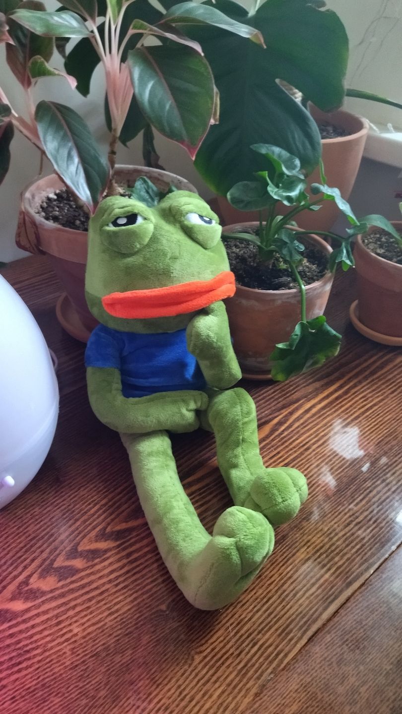Customer photo review of Pepe The Frog Plushie 18" Sad Frog Meme Soft Stuffed Poseable Plush Toy: Hilarious Cuddle Buddy Meme Doll The Perfect Gift