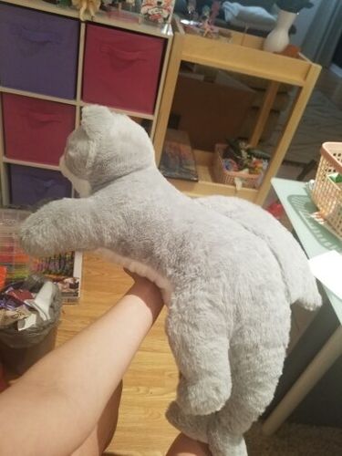 Customer photo review of Kawaii Grey Half Cat Half Shark Combo Plushie