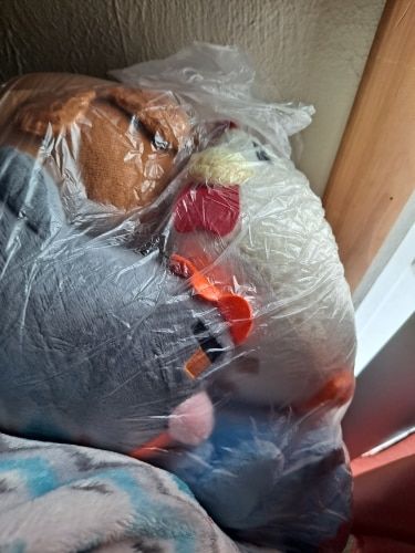 Customer photo review of Kawaii Stardew Valley Chicken Plushie