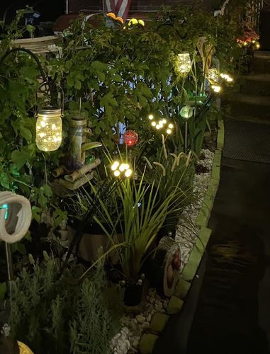 Customer photo review of Solar Firefly Sparkle Garden Lights