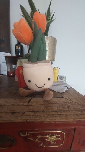 Customer photo review of Bubbly Tulip Flower Pot Plush
