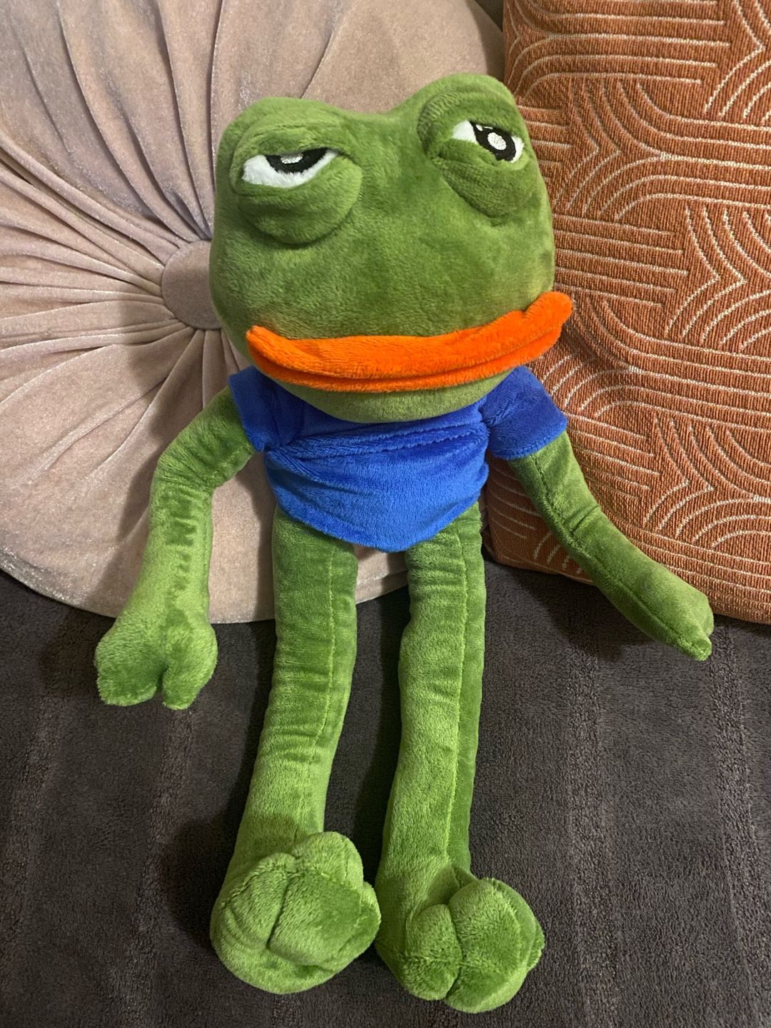 Customer photo review of Pepe The Frog Plushie 18" Sad Frog Meme Soft Stuffed Poseable Plush Toy: Hilarious Cuddle Buddy Meme Doll The Perfect Gift
