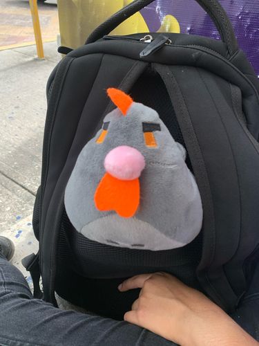 Customer photo review of Kawaii Stardew Valley Chicken Plushie