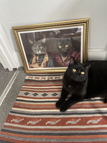 Customer photo review of The Count & The Countess  – Custom Vintage Pet Portrait