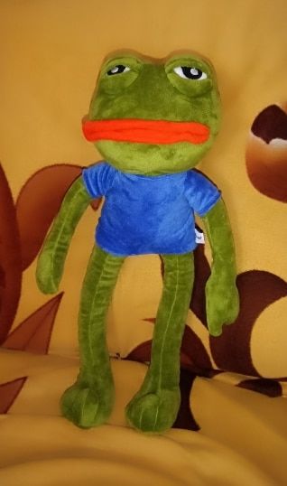 Customer photo review of Pepe The Frog Plushie 18" Sad Frog Meme Soft Stuffed Poseable Plush Toy: Hilarious Cuddle Buddy Meme Doll The Perfect Gift