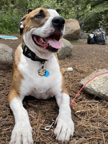 Customer photo review of Mountain Silicone