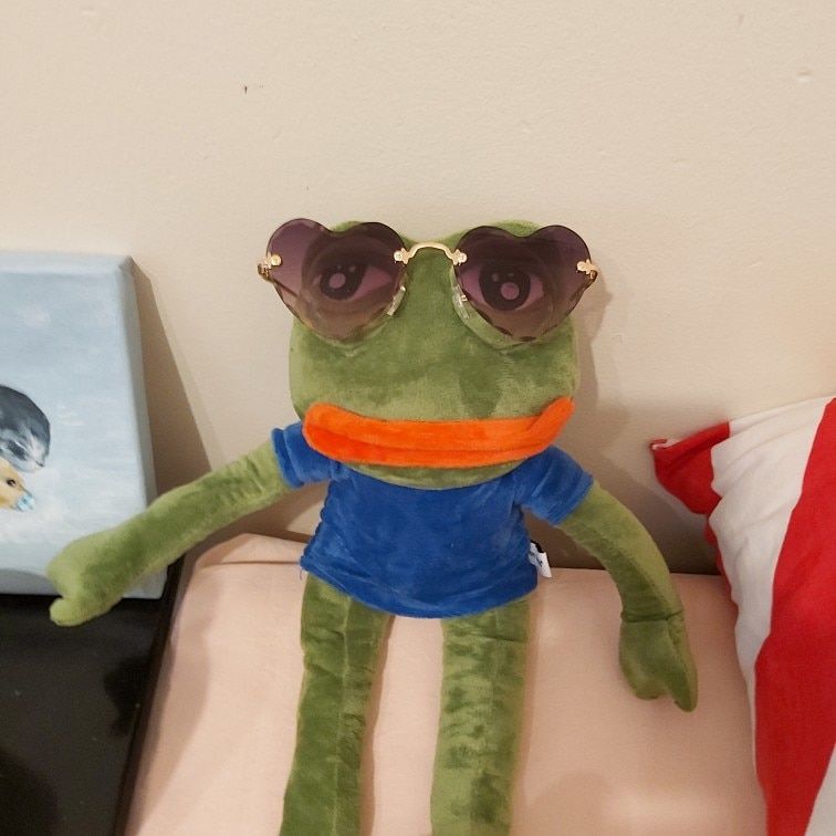 Customer photo review of Pepe The Frog Plushie 18" Sad Frog Meme Soft Stuffed Poseable Plush Toy: Hilarious Cuddle Buddy Meme Doll The Perfect Gift
