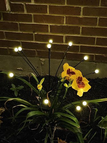 Customer photo review of Solar Firefly Sparkle Garden Lights