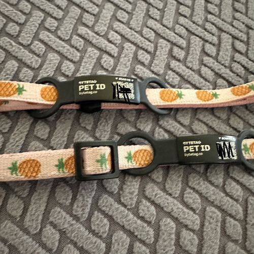 Customer photo review of ByteTag Slide