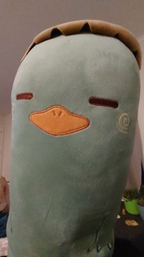 Customer photo review of Kawaii Animal Body Pillow Collection