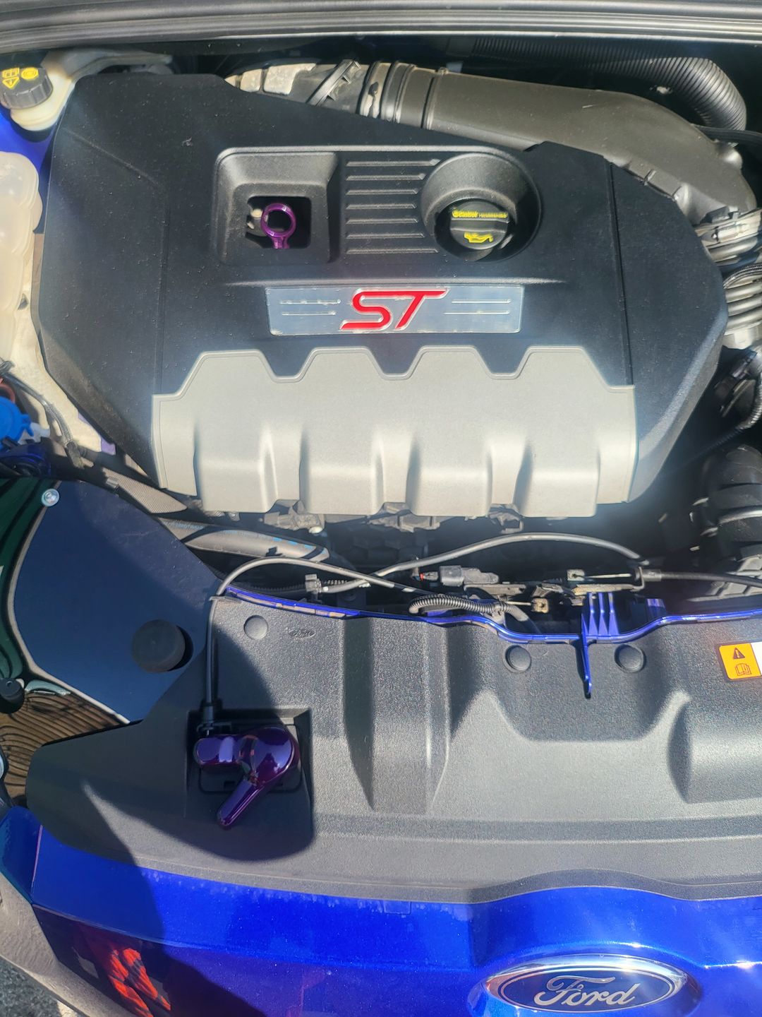 Customer photo review of Dipstick - Focus MK3/3.5 Petrol ST/ RS